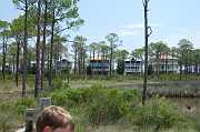 St George 2006 006